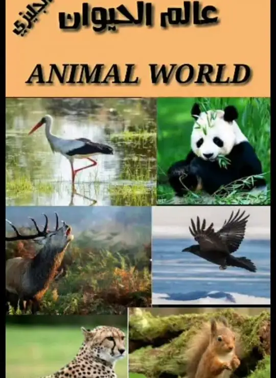 كتاب عالم الحيوان